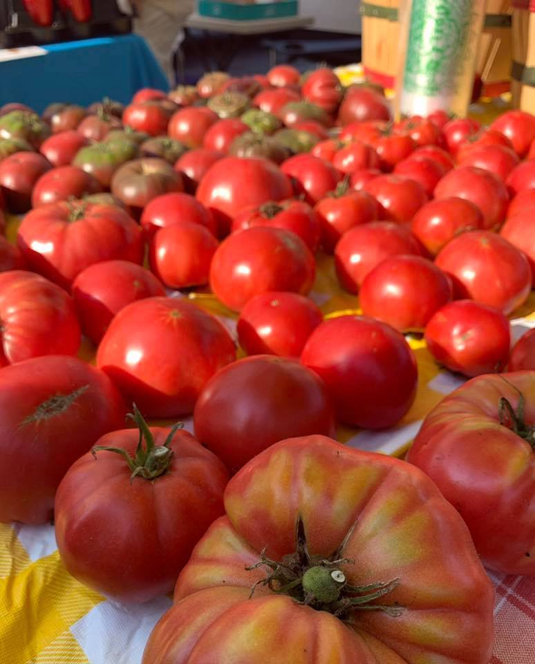 Tomato lovers will attest that homegrown always tastes best, even if they don't always win beauty contests.
