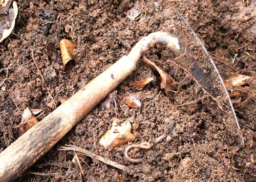 A garden hoe lies in a pile of fresh compost.