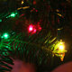 Save energy over the holidays by using LED lights and placing them on a timer.