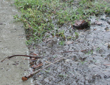 Augusta, Columbus and Savannah all broke their all-time December precipitation records.