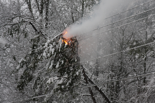 Trees fall on a power line during a winter storm in North Georgia.