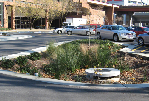 A rain garden catches and uses stormwater in the parking lot of the Tate Student Center at the University of Georgia in Athens, Ga.