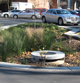 A rain garden installed in the parking lot at the Tate Student Center at the University of Georgia relies on runoff water to irrigate plant material.
