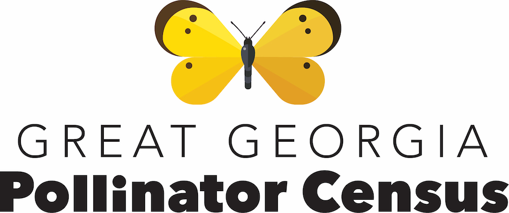 UGA Extension is looking for citizen scientist to help with the first-ever statewide census of pollinators, the Great Georgia Pollinator Census, on Aug. 23-24.