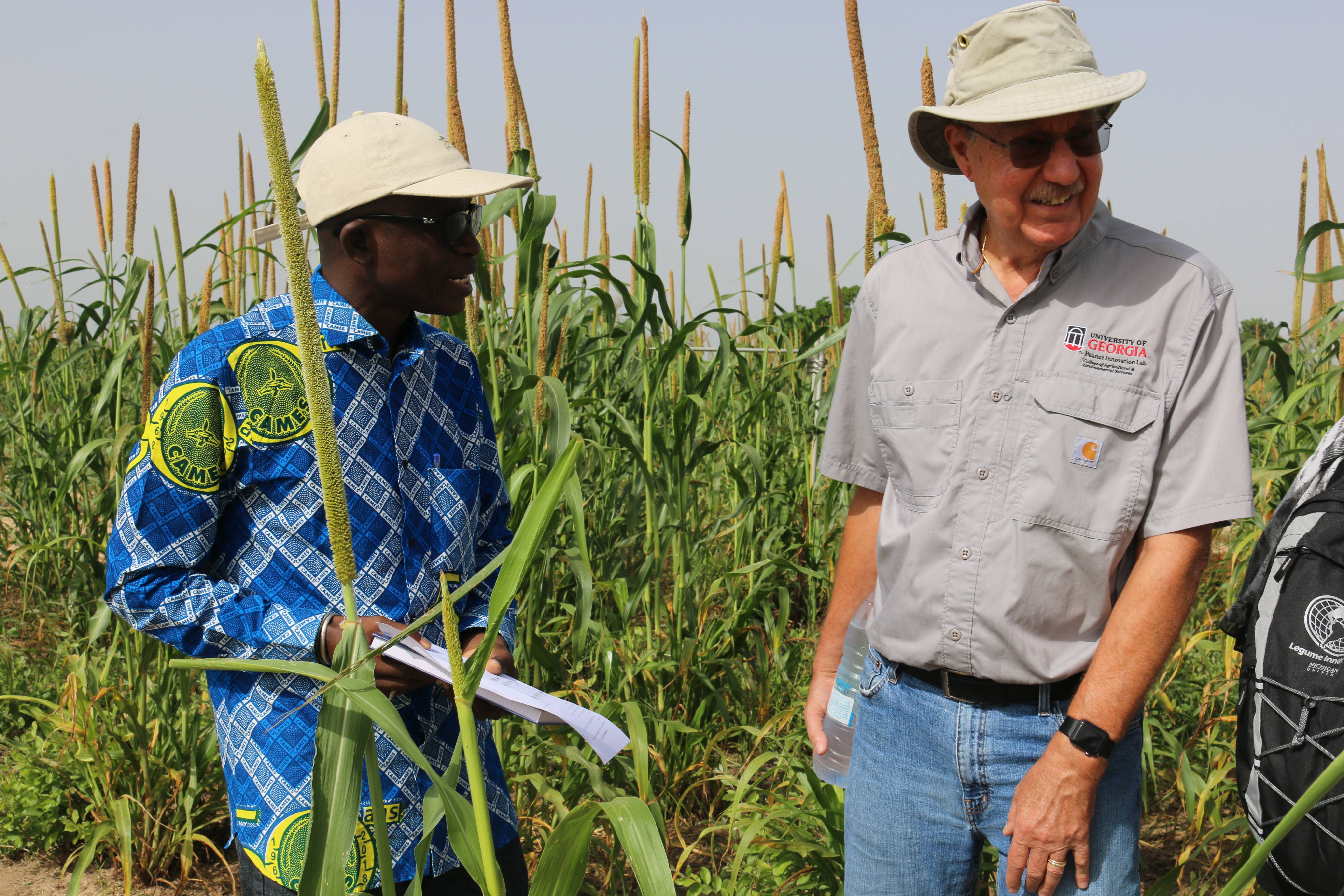 Ibrahima Diedhiou of the University of Thies in Senegal talks to Peanut Innovation Lab Director Dave Hoisington. Diedhiou studies how wild shrubs in the arid Sahel region of Western Africa may improve crop yields and remediate degraded soils. Now – with the support of the Peanut Innovation Lab – he’s testing how the shrubs work in Senegalese farmers’ peanut fields. (Photo by Allison Floyd)