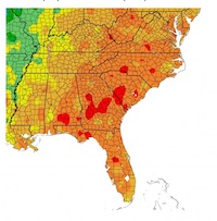 Temperatures ranged from 3 to 7 degrees above normal across Georgia during October 2019. Despite the heat, above-average rainfall helped ease drought conditions across the state.