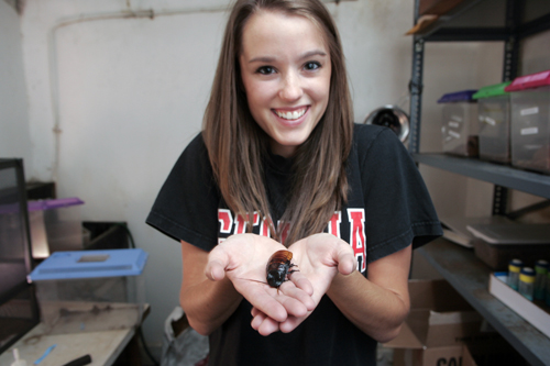 UGA College of Agriculture and Environmental Science student Claire Stace, a poultry science major, holds a hissing cockroach. Original taken Tuesday, May, 19, 2009, in Athens, Ga.