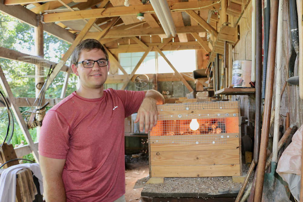 UGA poultry science student Vince Hix cares for about 1,000 birds at his home in northeast Georgia. Hix is respected by exotic bird breeders around the world.