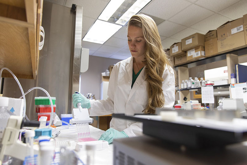 Samantha Spellicy, a graduate student of the Stice lab at the University of Georgia, performs a lab test on the therapeutic activity of exosomes.
