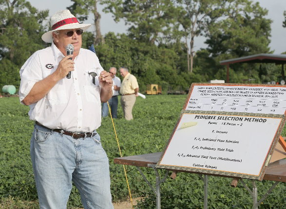 UGA peanut breeder Bill Branch has developed more than 20 new peanut varieties in his time with the College of Agricultural and Environmental Sciences.