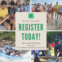 Georgia 4-H is offering two summer camps for military dependents, ages 14-18. Applications are due May 15.