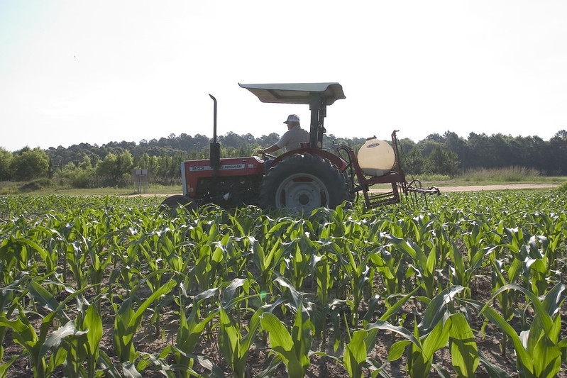 Critical pesticide application training for pest control professionals and producers will go online for 2020.