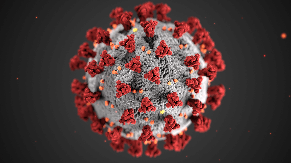 Illustration by the Centers for Disease Control and Prevention (CDC) of the Severe Acute Respiratory Syndrome coronavirus 2 (SARS-CoV-2), which has been named coronavirus disease 2019 (COVID-19).