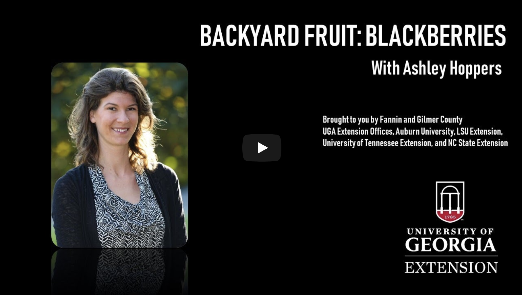 Although a bit of a challenge to switch to creating webinars for otherwise hands-on activities, UGA Extension Agent Ashley Hoppers finds the audience for the backyard fruits webinar series she organized is far larger than any in-person classes she has held in the past. She is one of many faculty members that began reaching new clientele through online delivery.