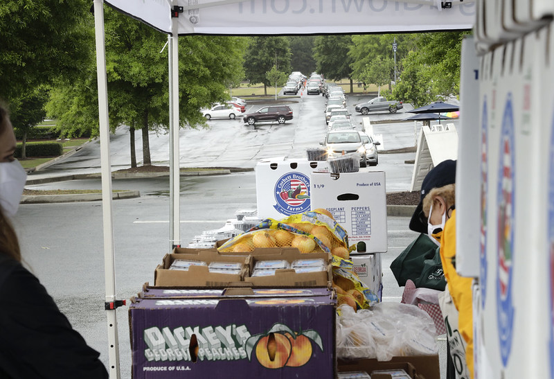 UGA Extension staff joined Georgia Grown staff to load boxes of produce into hundreds of waiting cars at the Gwinnett Georgia Grown to Go event on May 27.