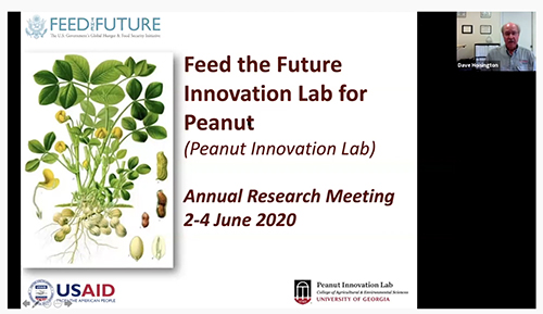 The Peanut Innovation Lab at UGA recently held its annual meeting online. More than 100 scientists and students from around the world attended.