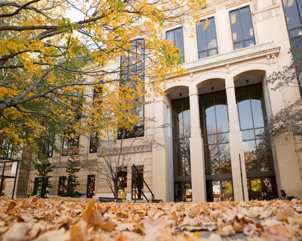 The entrance of Conner Hall from the exterior, which is surrounded by golden fall leaves 