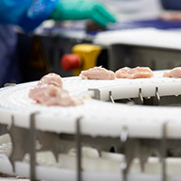 UGA poultry science researchers will study various potential contamination methods for SARS-CoV-2 in meat and poultry plants and what product-treatment methods can be used to mitigate the virus on food products.