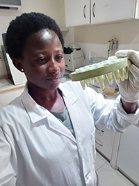 Jennifer Abogoom studies at Kwame Nkrumah University of Science and Technology (KNUST) in Kumasi, where she is pursuing a master's degree in seed science and technology and investigating the consistency of groundnut seed that farmers use.