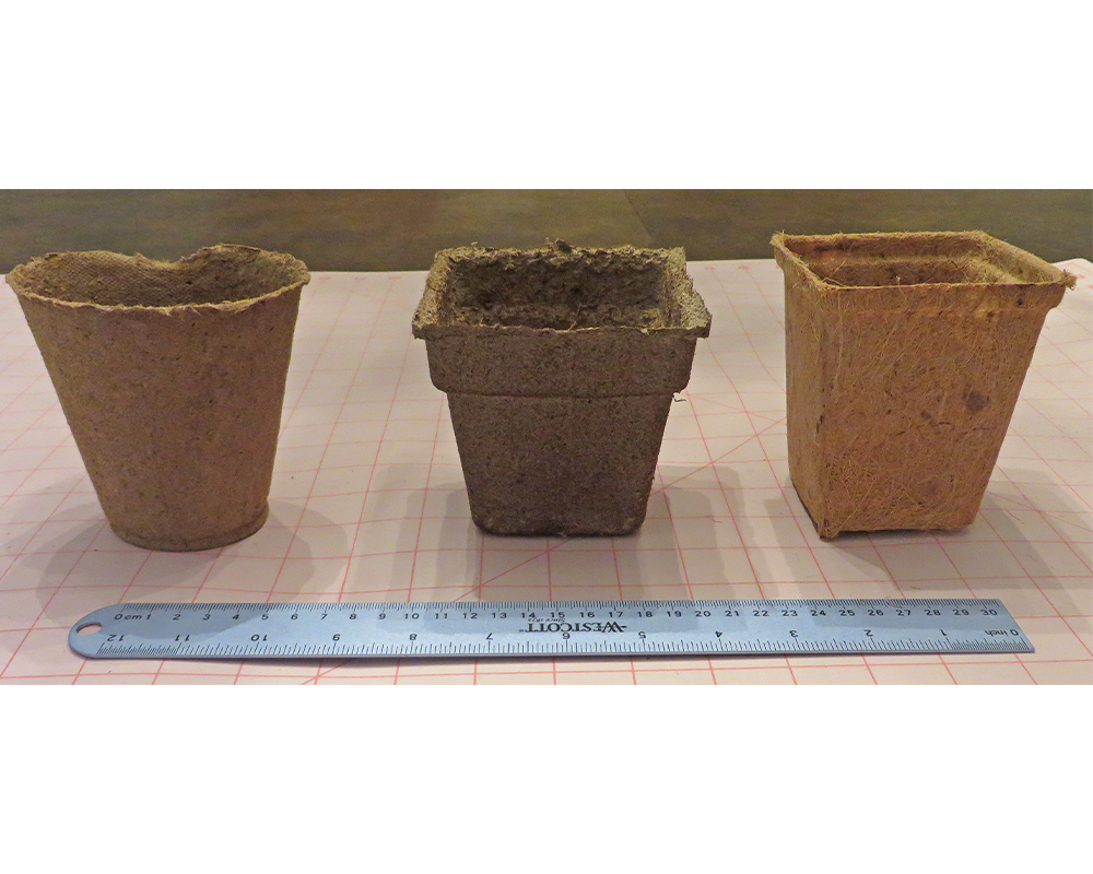 College of Agricultural and Environmental Sciences researchers tested biodegradable pots made from (left to right) wood pulp fiber, cow manure and coconut coir.