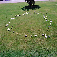 Growth of fairy ring fungi begin in the center of a ring and expand outward in a uniform, circular pattern over time. Mushrooms might only be visible during periods of wet weather, particularly in the fall.