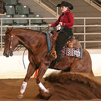 Allie Ann Wheeler, a 4-H'er from Thomas County, Georgia, will join the University of Georgia Equestrian Team next year.