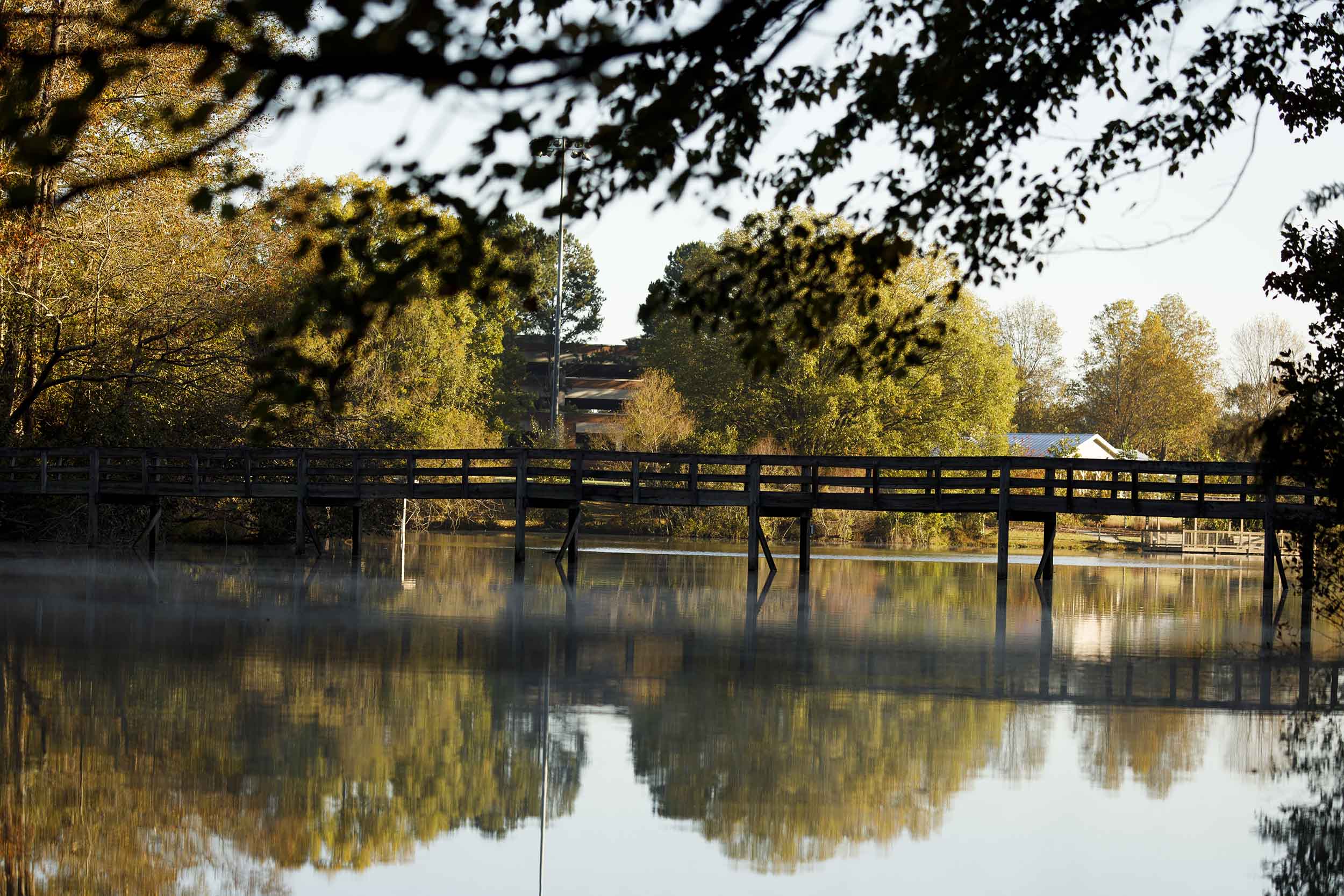 A UGA student campus sustainability grant will provide funds to install regionally appropriate fruiting trees and shrubs near Lake Herrick to provide experiential learning, on-site education and long-term fruit foraging opportunities for students and visitors.