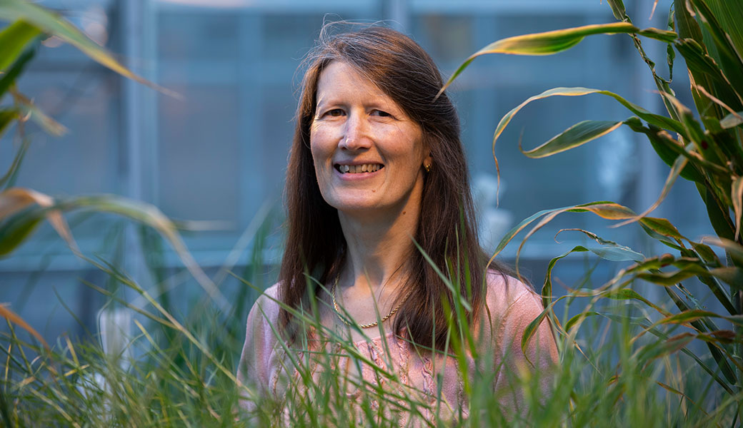 Katrien Devos and two colleagues from her lab were part of a nationwide team that produced a high-quality reference sequence of the complex switchgrass genome. (Photo by Peter Frey)