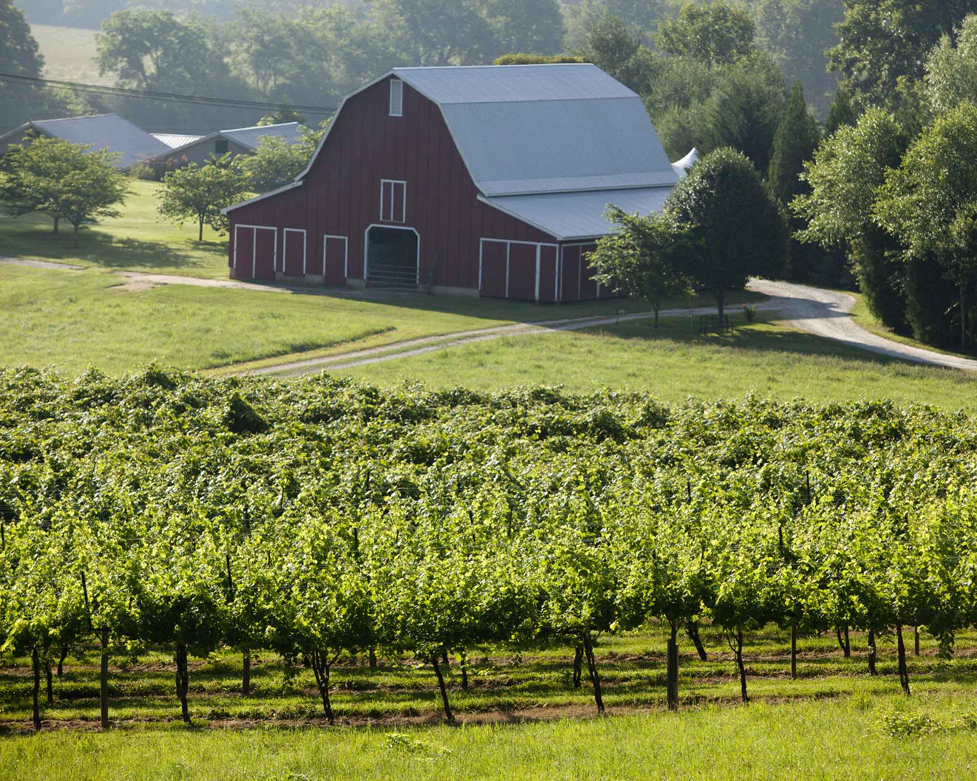 Agritourism has been steadily growing in Georgia over the past decade, and a new consumer survey by UGA economists shows that rural travel and agritourism is expected to rise in 2021, rebounding quicker than urban markets. (file photo)