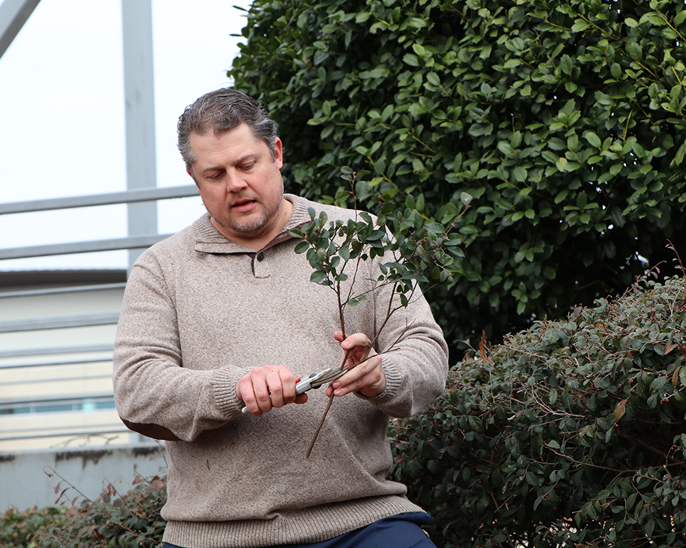UGA horticulture Professor Matt Chappell demonstrated proper pruning technique at a green industry event in January 2020.