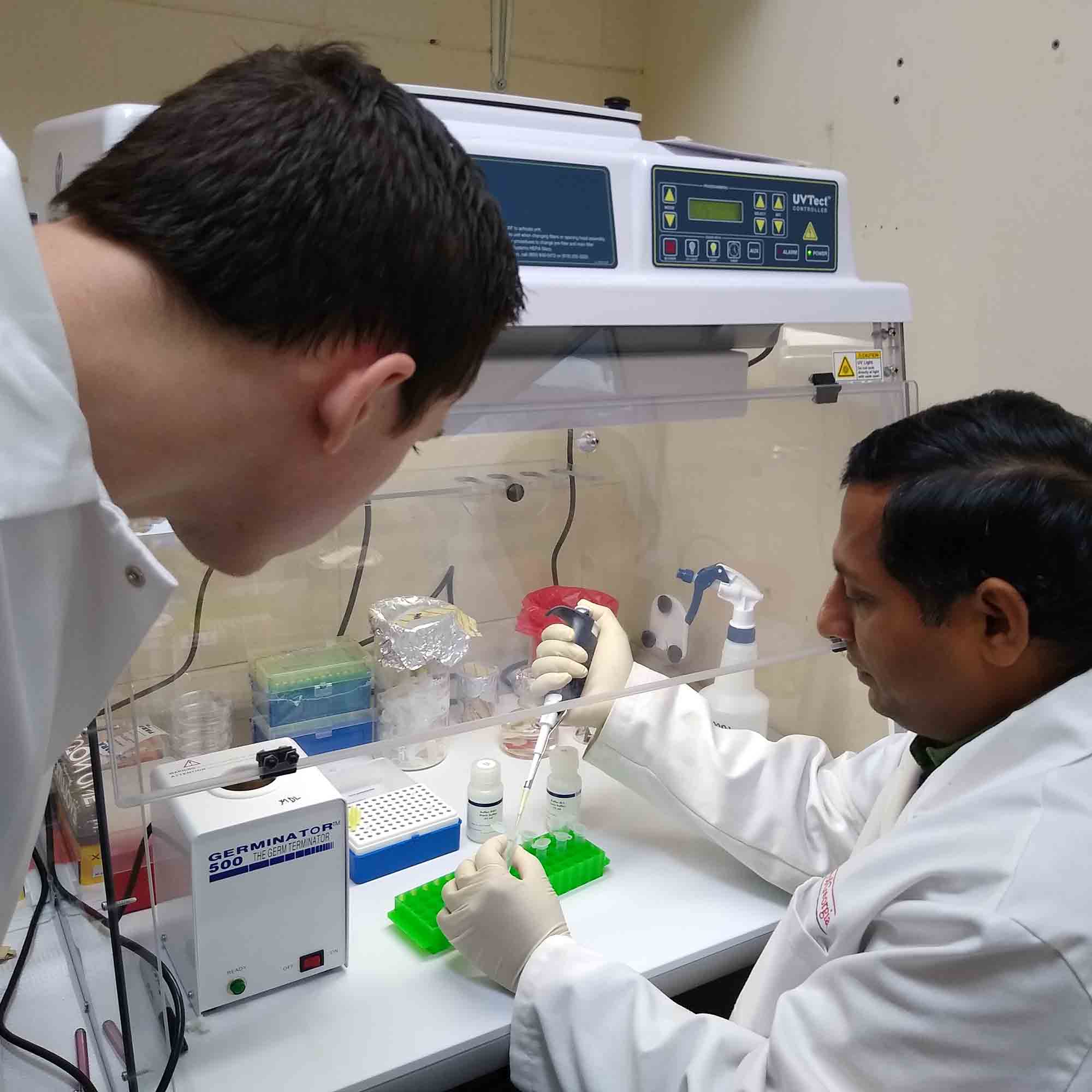 UGA plant pathology graduate student Owen Hudson (left) and research scientist Emran Ali (right) helped develop a faster protocol for detecting Fusarium wilt disease through a PCR assay.
