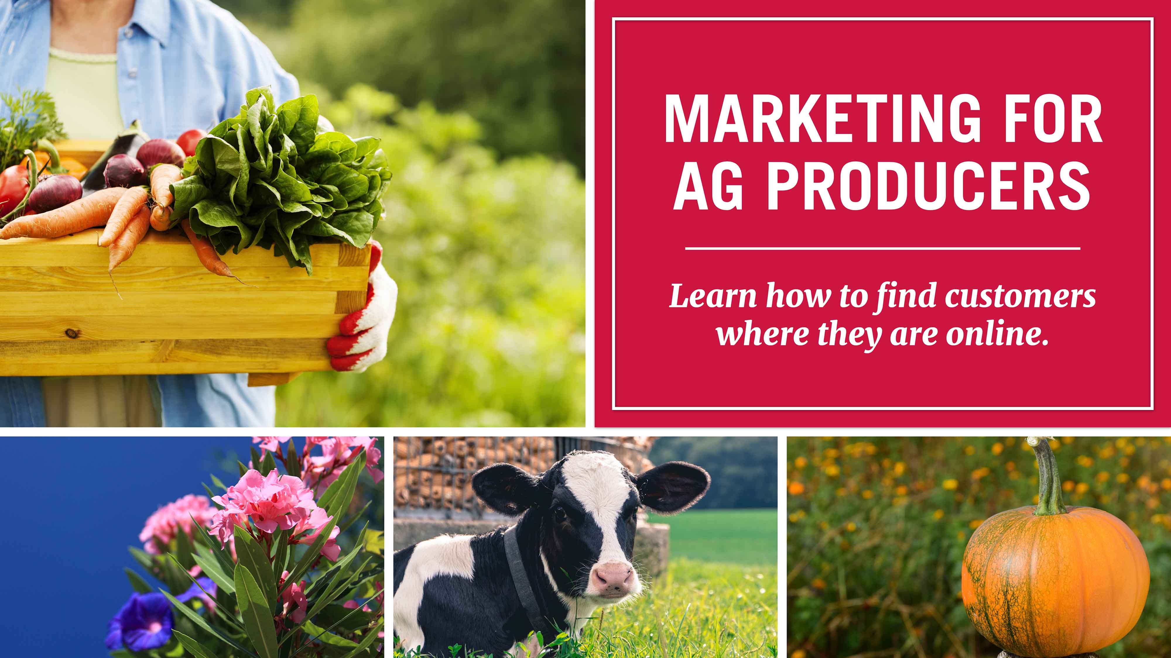 UGA Extension and UGA Small Business Development Center are teaming up to offer a four-part agricultural marketing webinar series beginning March 8.