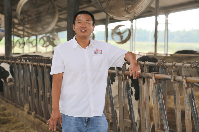 UGA Animal and Dairy scientist Sha Tao researches heat stress and its effects on dairy cattle physiology. As principal investigator on this project, he directed the experiment to understand cellular reactions in real-world circumstances for dairy cattle.