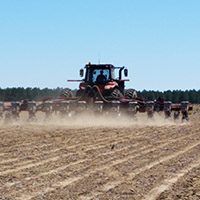 In this study, researchers examined the effects of using planter downforce technology in cotton fields with varying soil textures in differing regions across south Georgia.
