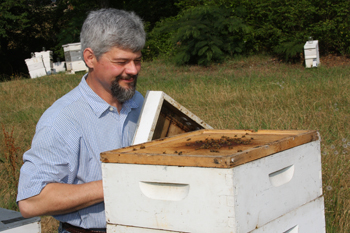 Keith Delaplane looks into the top of an open bee hive at the UGA apiary in Athens, Ga.