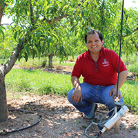 Dario Chavez, associate professor of horticulture on the UGA Griffin campus, shows off the drip irrigation system in the peach orchard of the Dempsey Research Farm used to study irrigation and fertilization management for young peach trees.