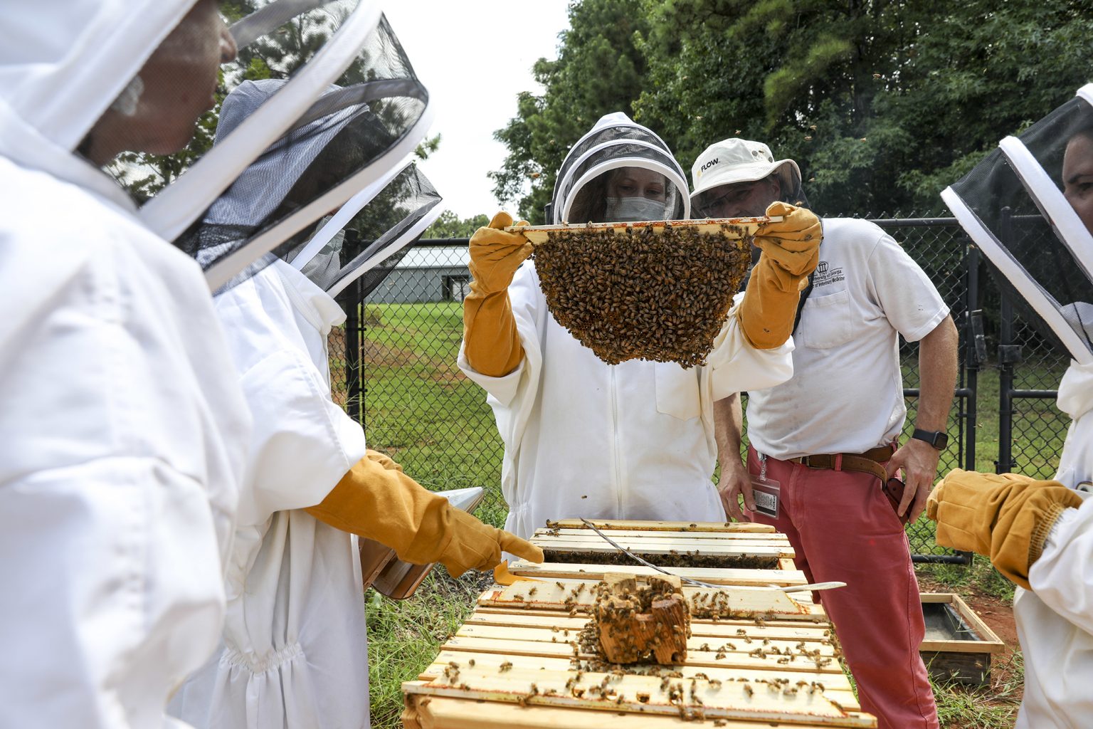 Beekeeping  N.C. Cooperative Extension