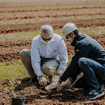 CAES Dean and Director Nick Place (left) and UGA blueberry entomologist Ashfaq Sial ceremonially plant the first blueberry bush in the new research orchard at UGA's Durham Horticulture Farm in Watkinsville, Georgia.