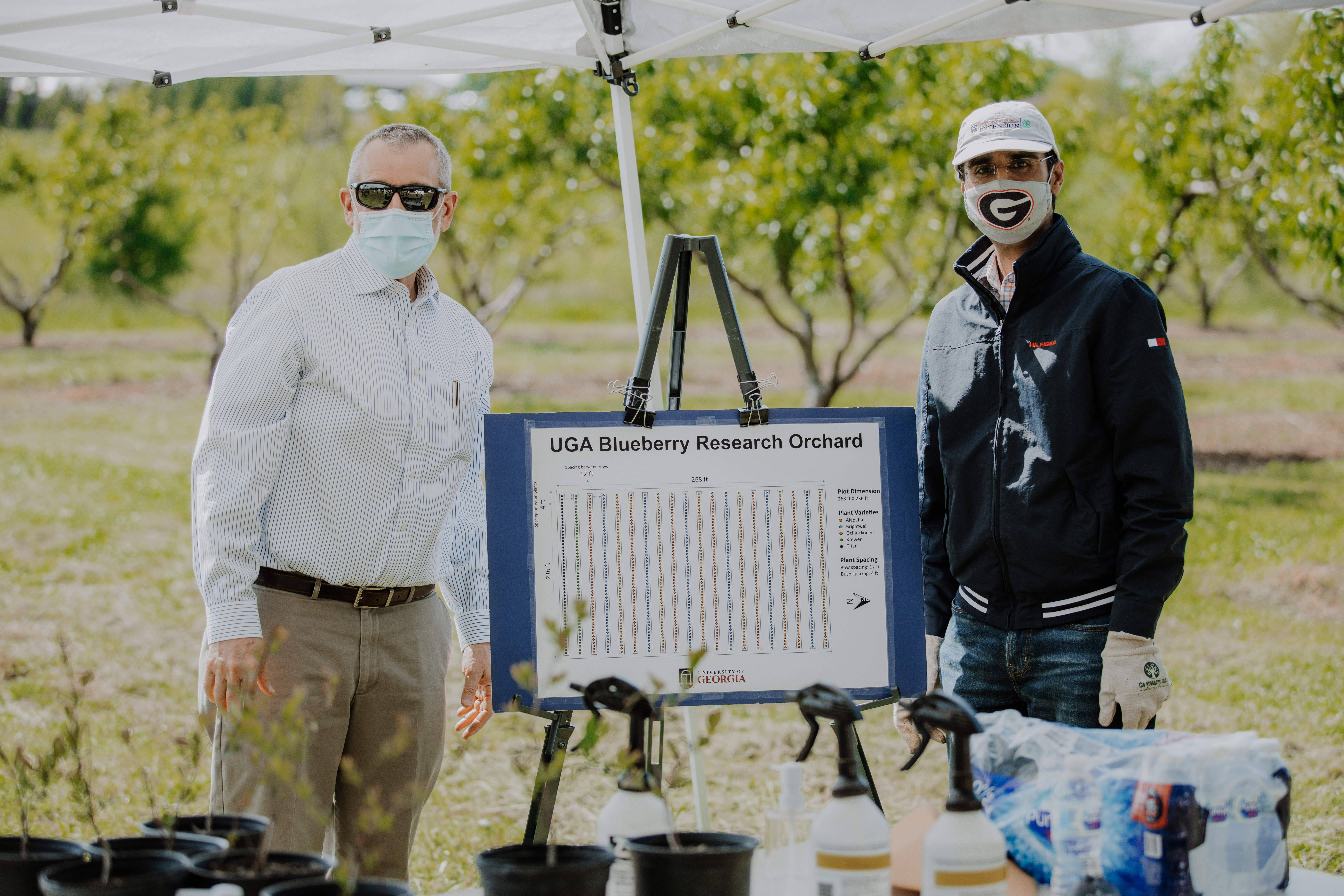 CAES院长兼主任Nick Place(左)和佐治亚大学蓝莓昆虫学家Ashfaq Sial概述了新的蓝莓研究区布局，列出了佐治亚大学在佐治亚州沃特金斯维尔的Durham园艺农场开发的蓝莓品种。