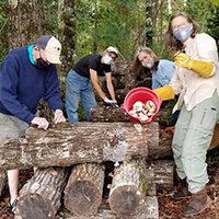UGA Master Gardener Extension Volunteers inoculated 50 shiitake mushroom logs with the residents at Victory Home. In April, the group hosted a plant sale at the greenhouse and thrift store to raise funds for the center.