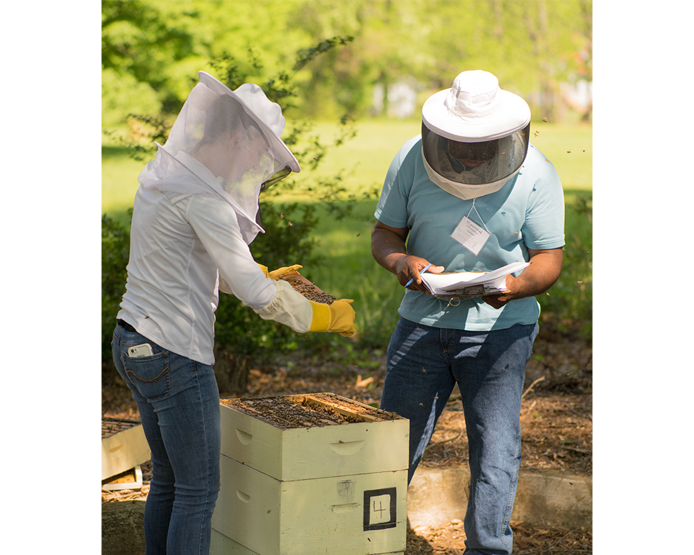 Beekeepers participated in the annual UGA-Young Harris Beekeeping Institute on the campus of Young Harris College in 2018. The event features a wide array of lectures from world-renowned bee scientists, honey-judging events and beekeeper-training workshops.