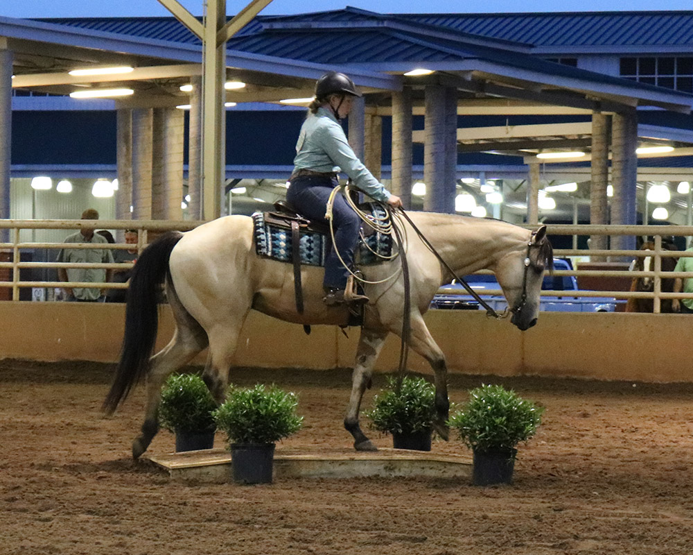 A Georgia 4-H'er participates in the ranch horse competition at the Georgia 4-H State Horse Show.