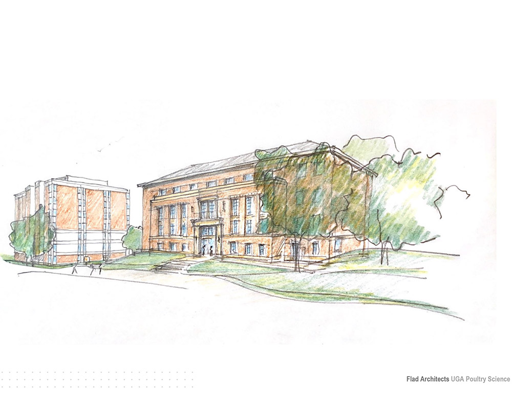 A rough sketch of the proposed design of the new Poultry Science Building to be built on UGA's South Campus where there is currently a parking lot between Boyd and Conner Halls.