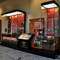The colorful exhibit highlights the seasons in which various Georgia crops are harvested and some of the ways farmers use technology, such as apps and drones to monitor their crops for diseases or pests and to conserve water. The exhibit includes an interactive kiosk where students can explore games and videos featuring interviews with urban farmers in and around the Atlanta area.