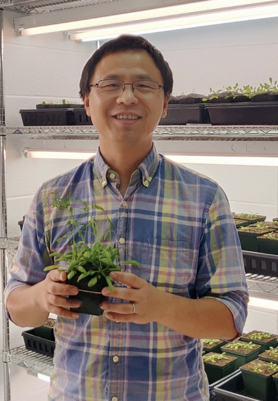 Li Yang smiles in a controlled-environment growth room with shelves of plants behind him.