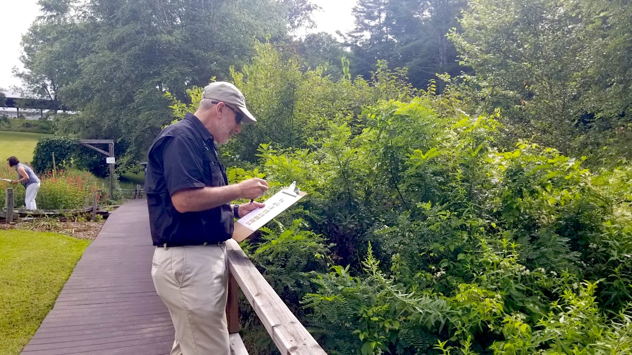 Dean Nick Place counts pollinators at the Georgia Mountain Research and Education Center