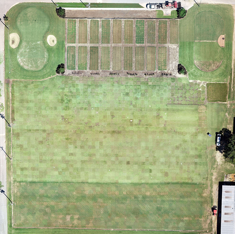 A drone photo shows turfgrass research plots on the UGA Tifton campus. 