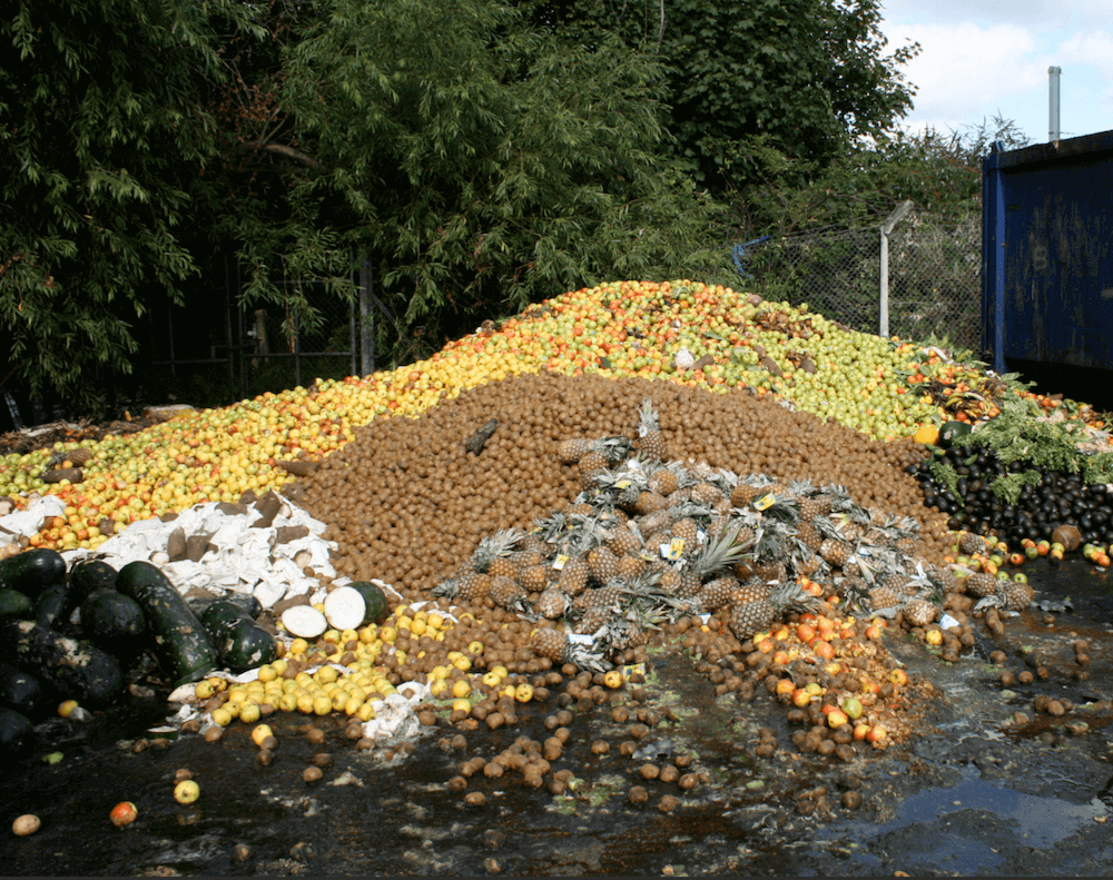 A large pile of discarded produce 
