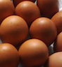 Fresh brown eggs are among the more than 170 products available from Pike County, Ga., farmers via the Wednesday Market. Items are ordered through a website and picked up on Wednesday afternoons.