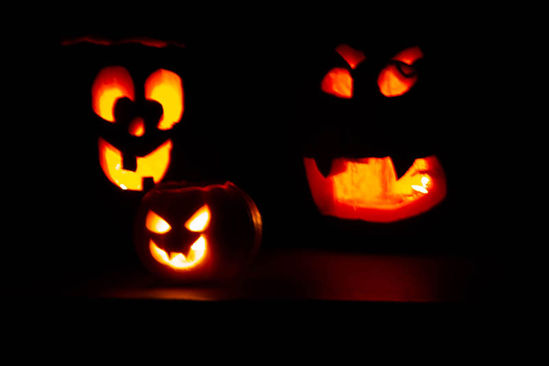 Don't toss your decorative pumpkins and jack-o'-lanterns in the trash this year, use these tips for sustainable disposal.